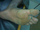Plants: image 1 0f 5 thumb