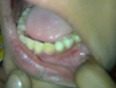 Plants: image 1 0f 5 thumb