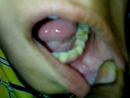 Plants: image 1 0f 5 thumb