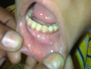 Plants: image 1 0f 5 thumb